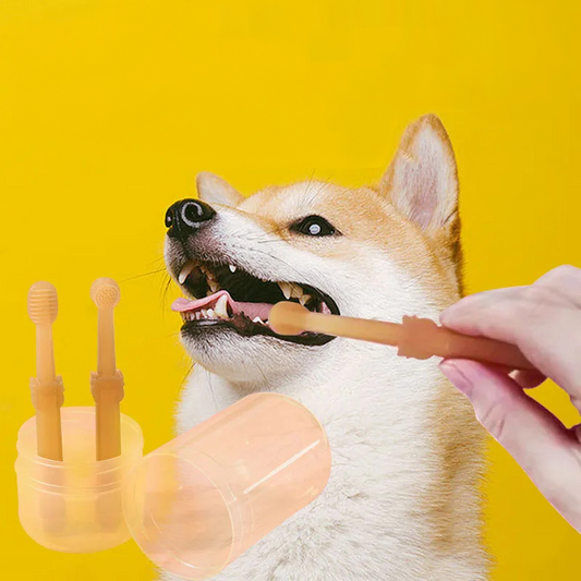 Dog (Cat) Silicone Soft Toothbrush: Round Brush Head, Soft Bristle Toothbrush, Dental Care (Pet, 1 Set)