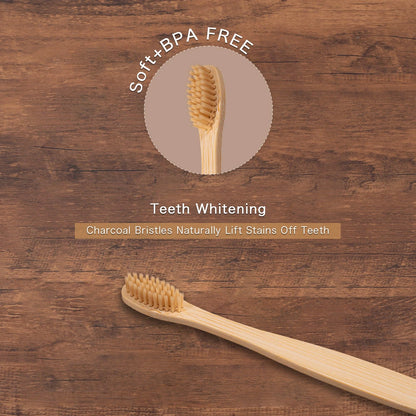 Soft Bristle Oral Care Toothbrush 